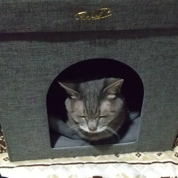 9ab0c7d9 fad5 46ea b945 42d06373e272 1668687374055