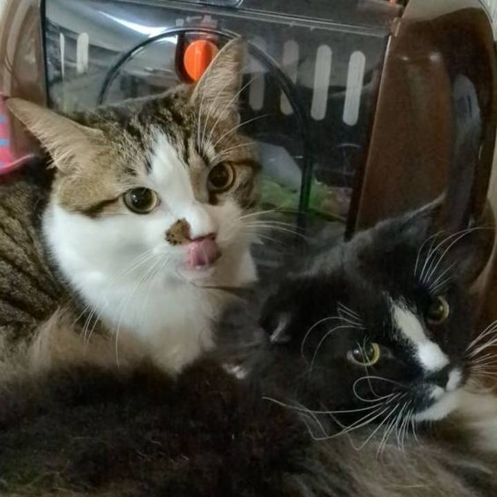 9ab0f595 45d5 41ca bf00 2d7188e1b3ff 1667305733490