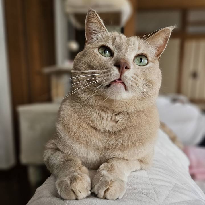 9ab13ff2 071f 4f6b a34a 5aa2739108ff 1763857591905