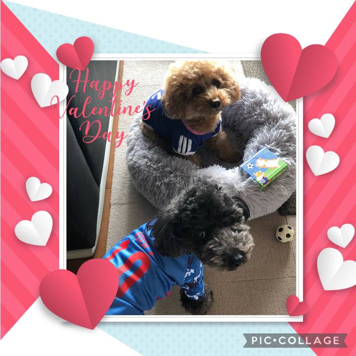 9ab17b61 2ac7 4fa2 b034 289d42c1ee4f 1613305345518