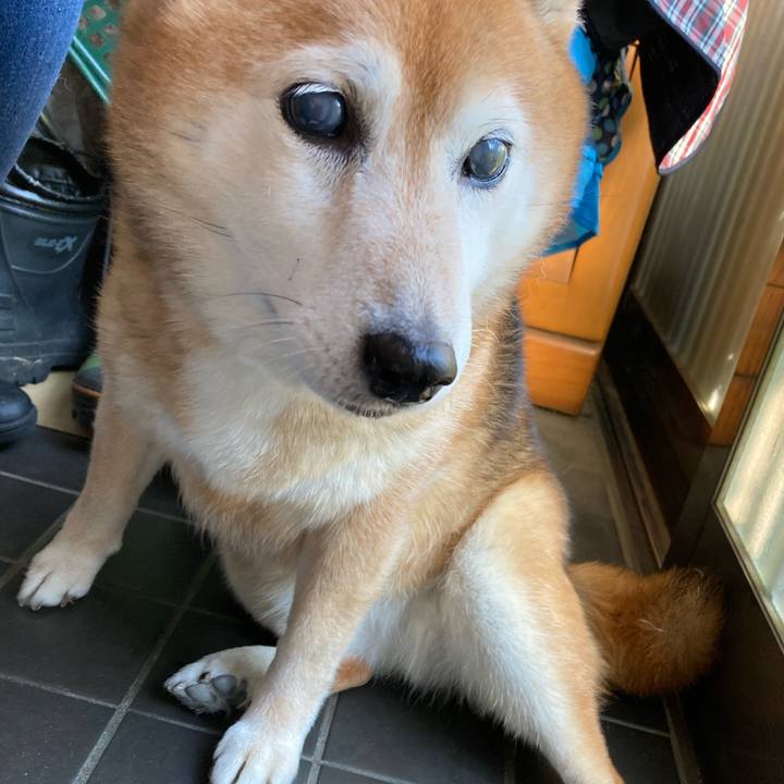 9ab1829f 8f1b 4b7b b71f 30be6aa71e85 1716624751883