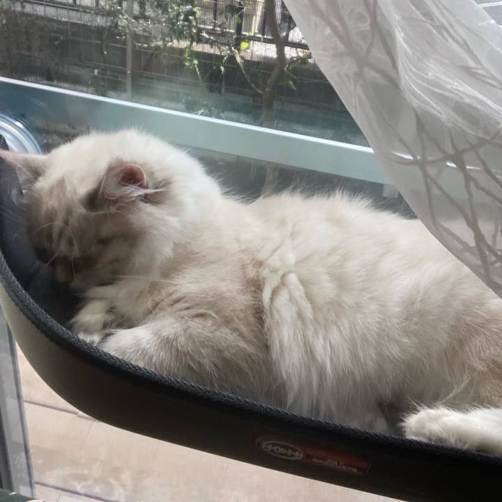 9ab1a12d e7fe 4b20 afd9 edeb11e5211c 1676902854878