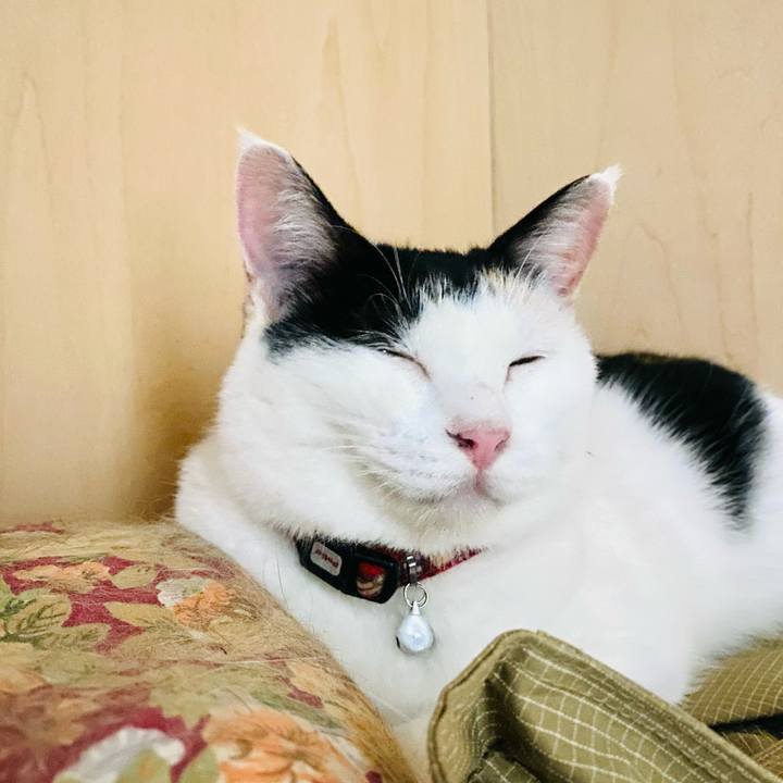 9ab1ca2f 64fb 4868 9f92 2b7416f4526d 1662991098523