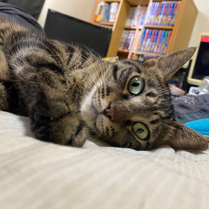 9ab1d884 7f95 4f6e 8749 7560d4596d7d 1604116335789