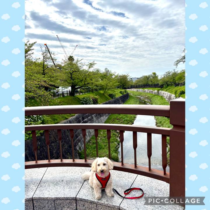 9ab1df70 adc1 4128 abd1 d5bdf4222a79 1776050671159