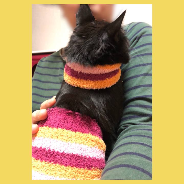 9ab1e00e e056 4e07 a455 78ca0c9b4d23 1587907396038