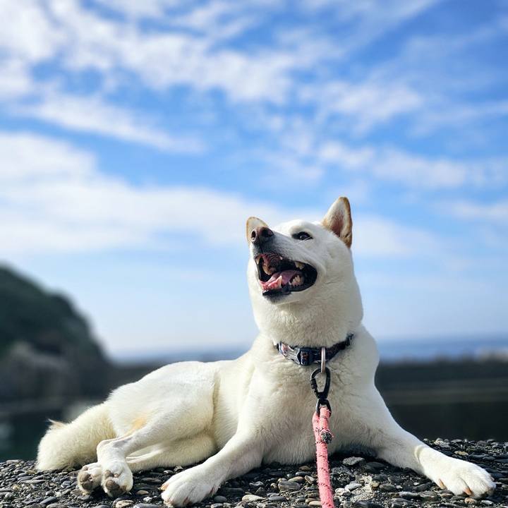 9ab211dd 8b87 4daf b472 541781186cd1 1750227674499