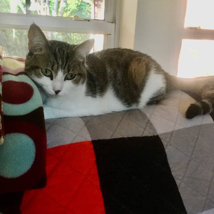 9ab23351 2262 40cf 8e0b 28562a8eff77 1658885378501