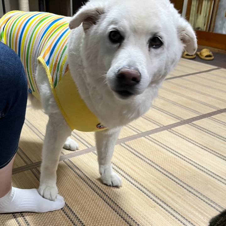 9ab237cb b3c4 465a a3f6 3de5846b66b6 1759707171856