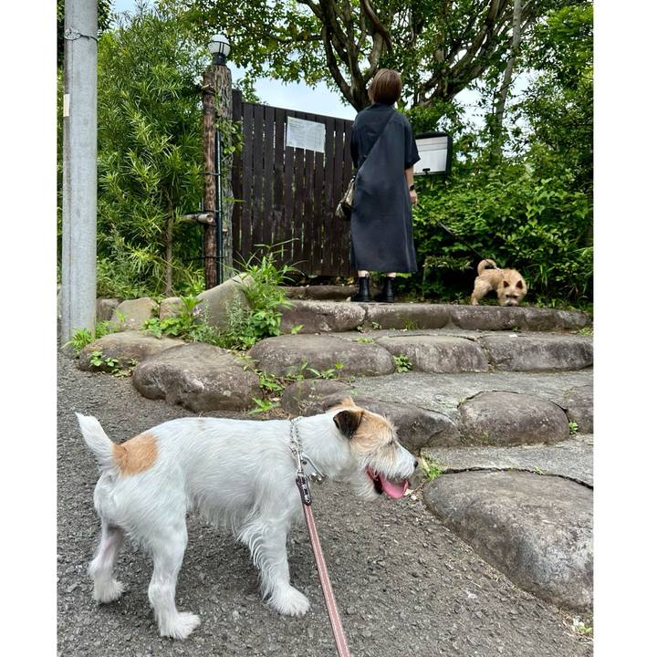 9ab2726f d88c 47a8 b9a6 af4ef1628a6a 1716648425102