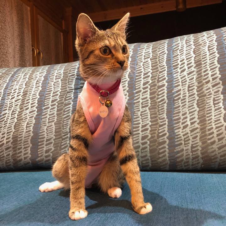 9ab28991 1cba 4b58 a1a8 48715b19a9d8 1562933616462