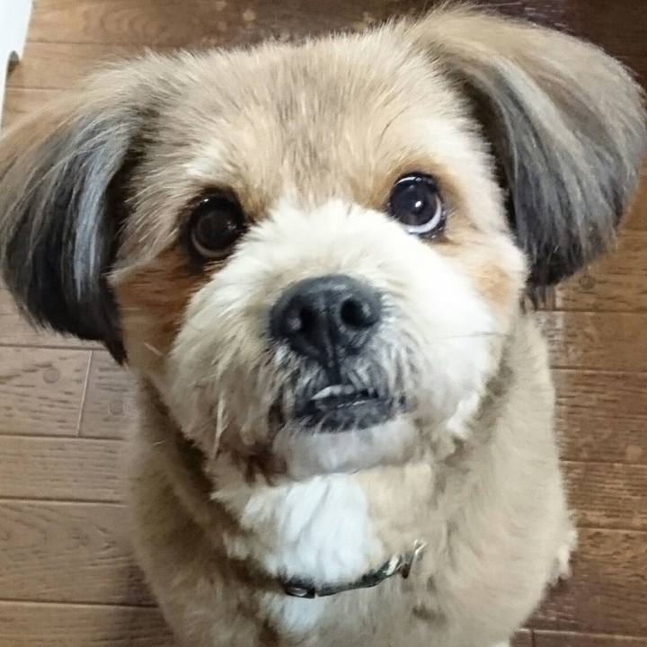 9ab28a57 8708 410f aee8 e4eb2b6ec3b1 1523271667295