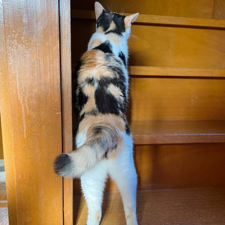 9ab29628 74a7 4ddb 9bf2 33201aa68aac 1630285657374