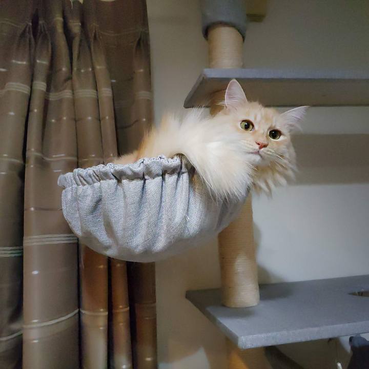 9ab29cda e02b 4e4e b267 2926df1f92c9 1725191000233