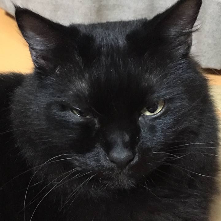 9ab2b17d 0457 4c01 8f05 0ea6f8e0a237 1507812691703