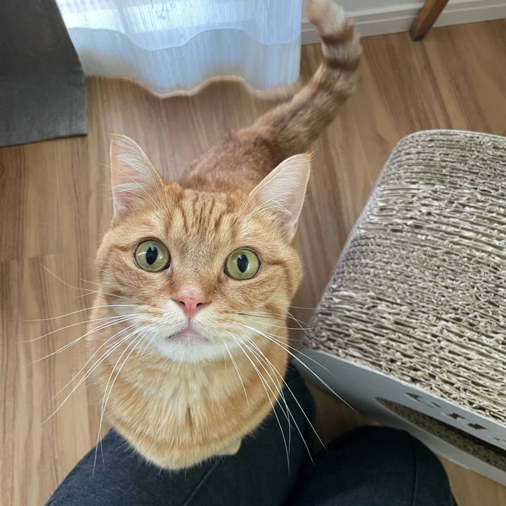 9ab2c717 527d 4ef0 aa6a 98e8deeed360 1766961549439