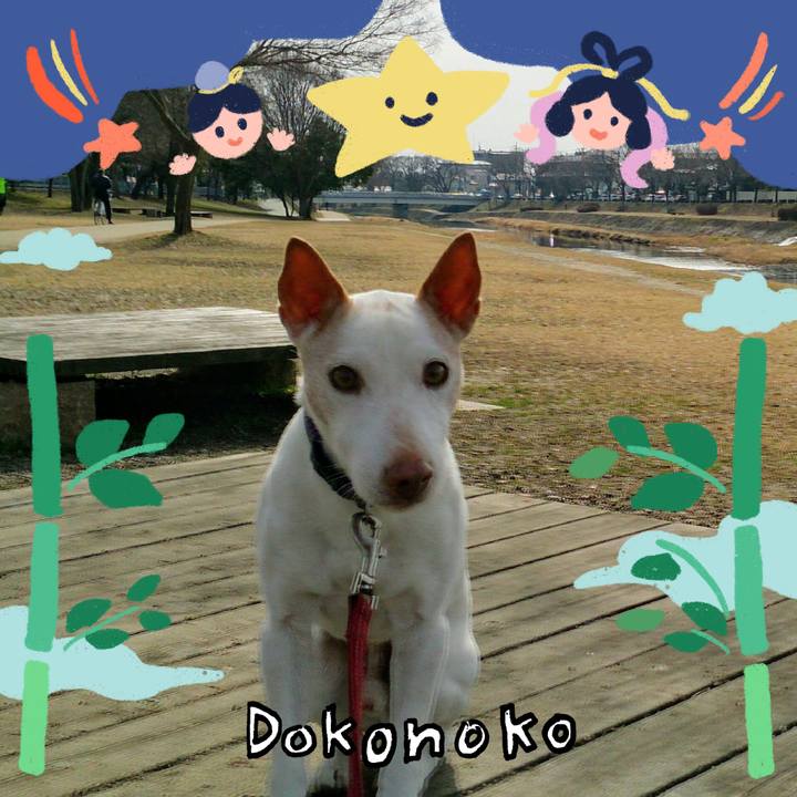 9ab32966 4a06 4af7 b566 a22779c8fd7d 1720786151167