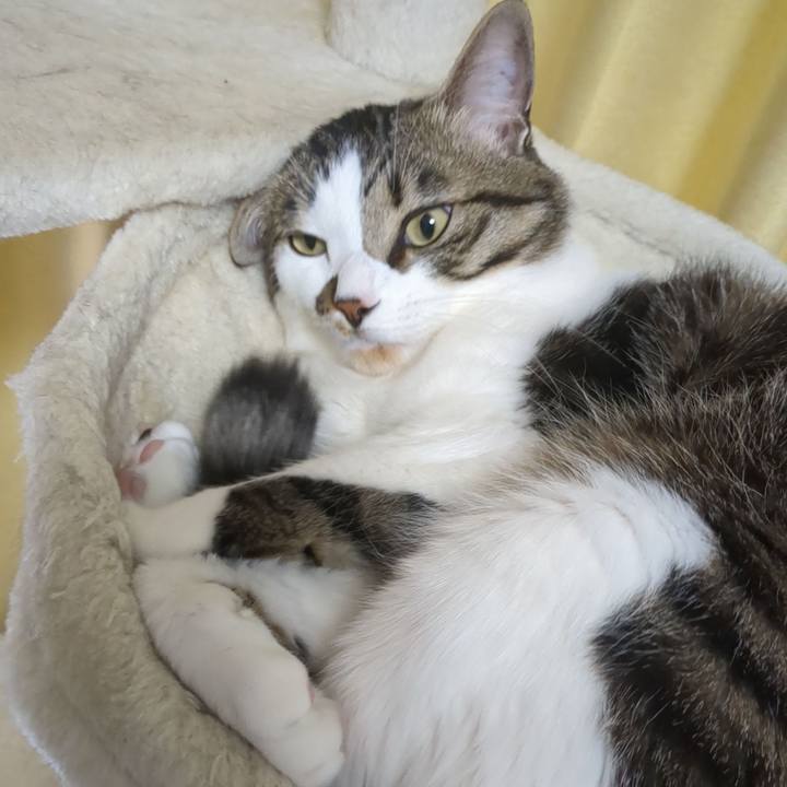 9ab334db e765 4641 a277 4be0d6f95ef9 1681264685013