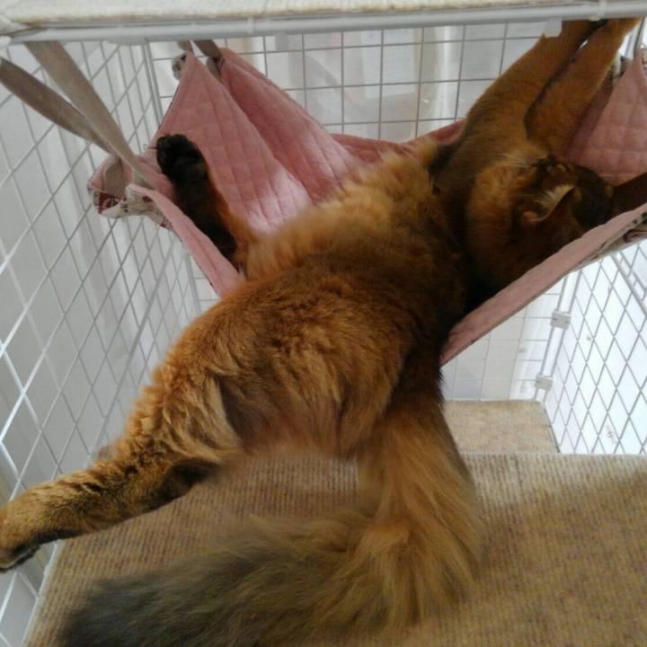 9ab38a08 bb3d 4a70 bd61 c6a513242b88 1575794656580