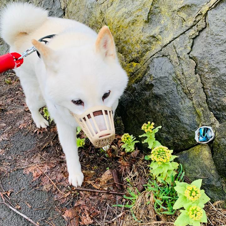 9ab3e77c 539d 4f89 83de 32b1d9d08157 1681250847062