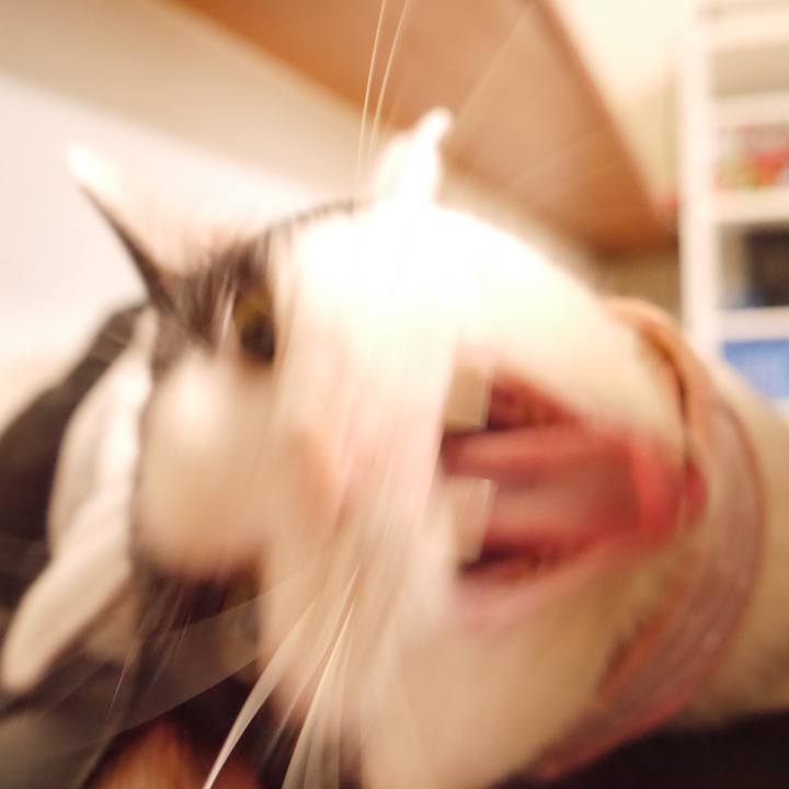 9ab43017 404f 4751 8177 3bbda0886bd7 1520910398591