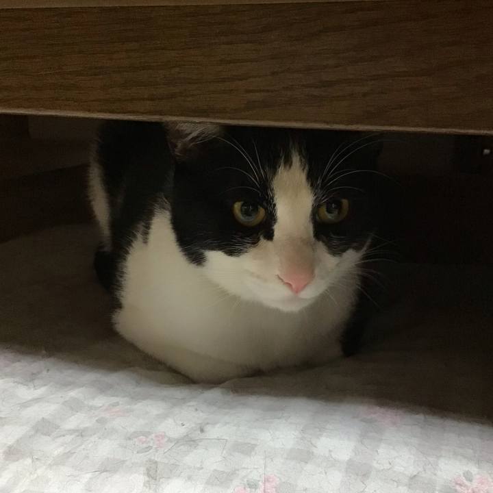 9ab437a3 26d7 467b 9e18 55338c6a68b1 1652876987133