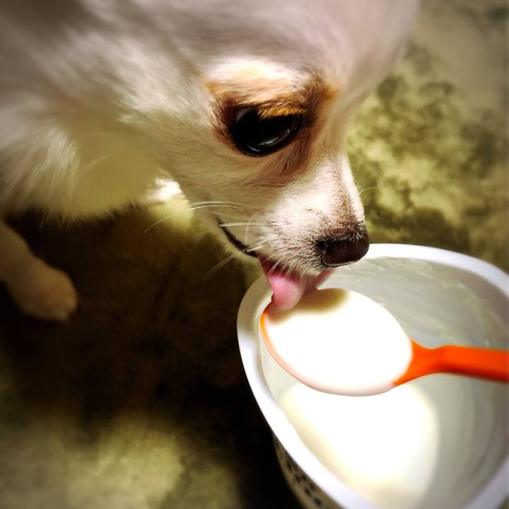 9ab43b62 84e5 4f3c b3dc a4d633bc2316 1529135775851