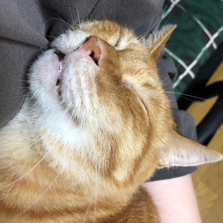 9ab465d5 edbd 45e6 993f e137c386bc25 1698745694903