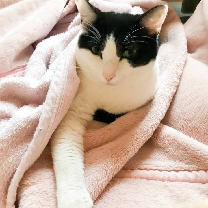 9ab469bf 51e1 4285 9a0c b3f1186f79c0 1522287441200