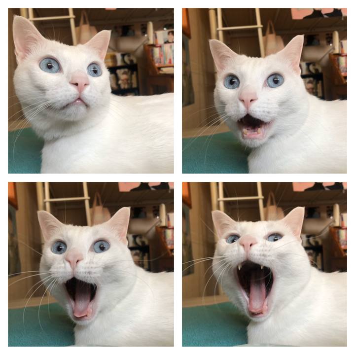 9ab474ef 6148 4fba 9ef7 f5e4671ec652 1586863979682