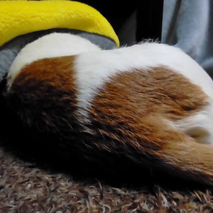 9ab491d6 9342 40e3 8b36 255d122f540a 1517916315497