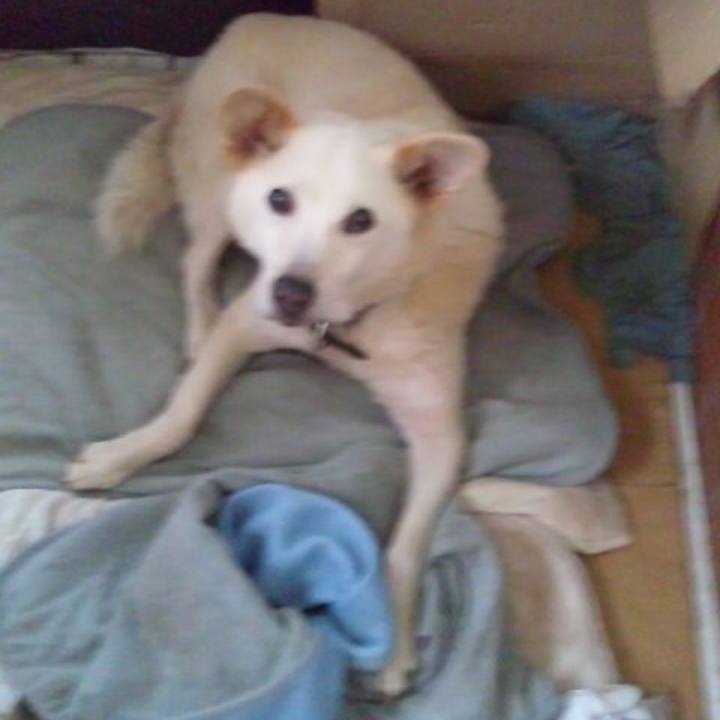 9ab4c4b8 1fc3 4c43 9b3b 8119937ba2bc 1512753032024