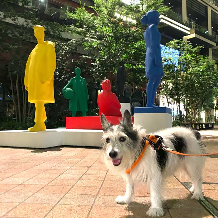 9ab4ca8e 6d60 49dc b5b6 39b8a6e30690 1626048282431