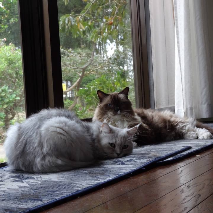 9ab4f135 c106 44c5 8d43 98ab8a463975 1539392004587