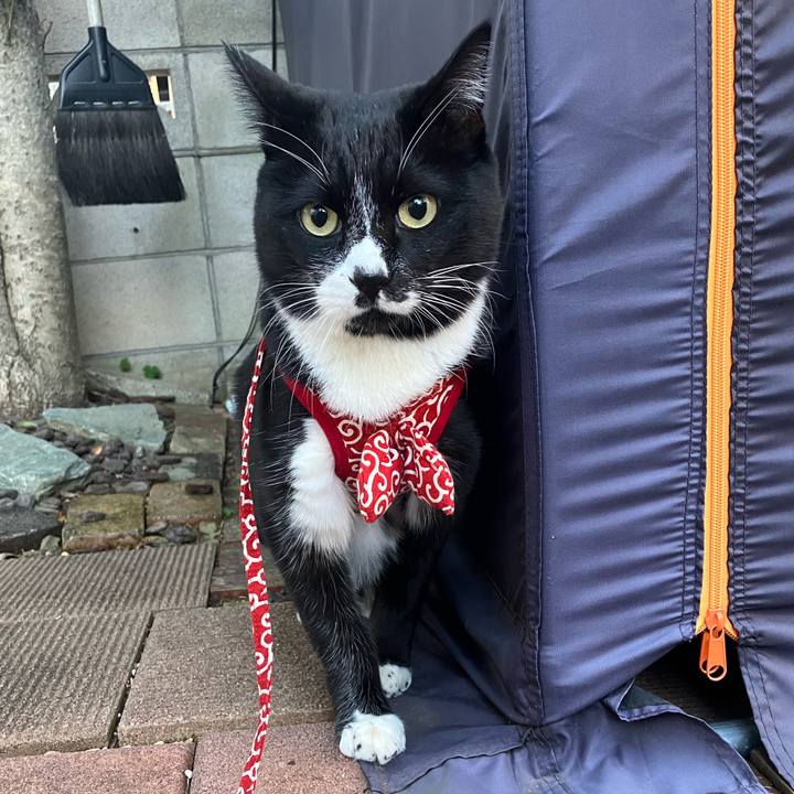 9ab5078e 95a1 40b5 b6d3 f2651e921c24 1739157697105