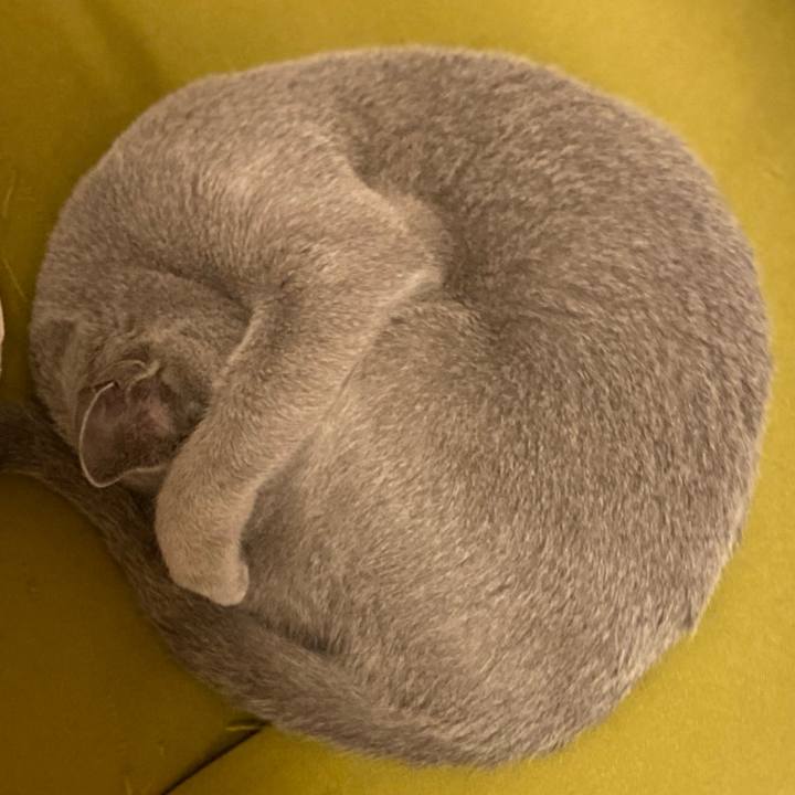 9ab52354 c710 45e4 ba45 742cc11c2a36 1694354209425