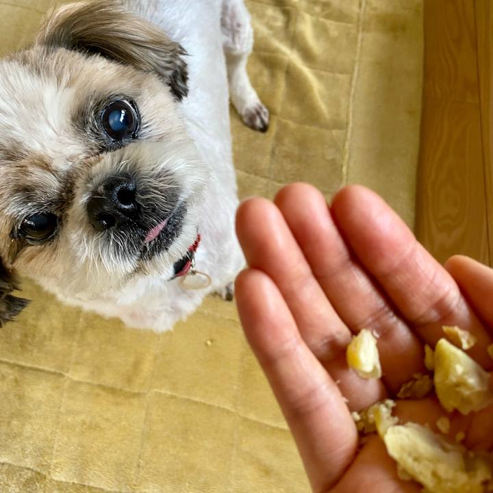 9ab5523e 0fc7 4578 a7bb eabb82b96124 1664604567627