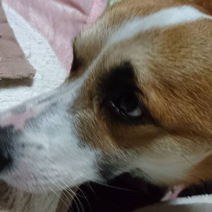 9ab552e0 ed7f 42c2 b810 eaf73dd562d4 1578737439385