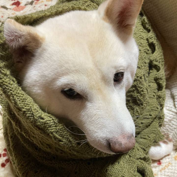 9ab55510 d2ef 411c b571 d65fe0f424fe 1671839117375