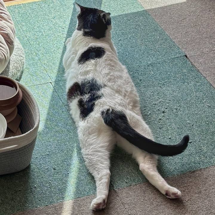 9ab57192 ece2 4566 b2aa 07d0d595cddf 1762656644721