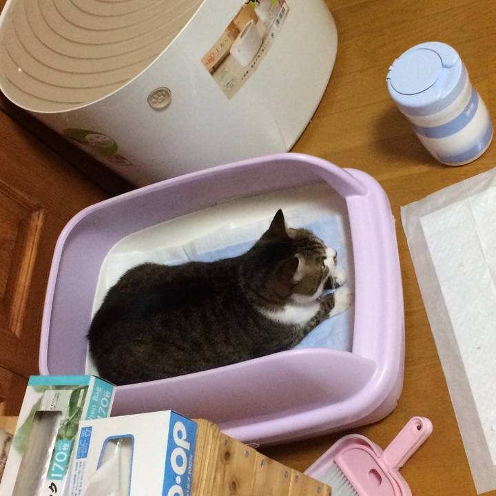 9ab57dc9 8fec 4faa a69b 607e7c5b959d 1570548698851