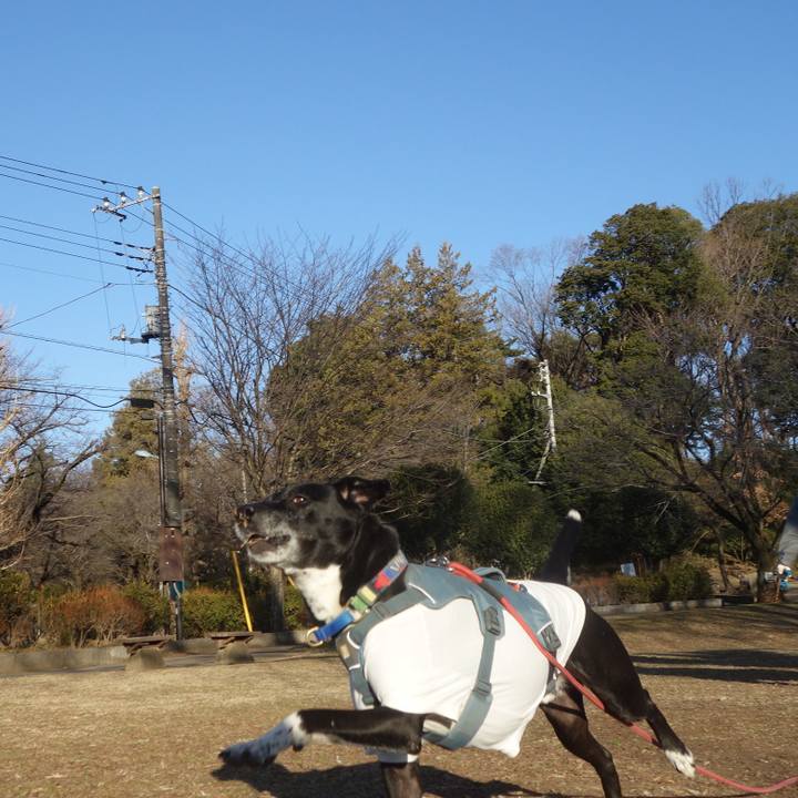 9ab58e76 aba6 40d5 be31 d2506c75402f 1706923851040