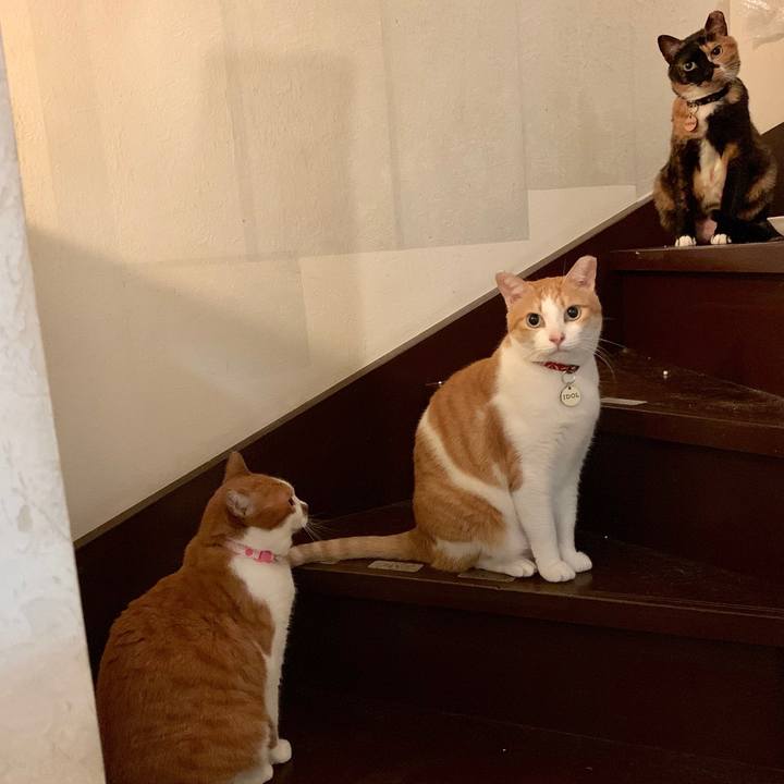 9ab59da5 51fe 4bee 84a1 fcb94b70e724 1571836350784