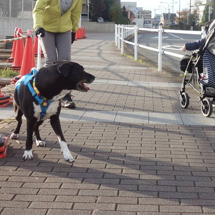 9ab5d5e8 681a 44a0 82ad 001d63855338 1667782923865