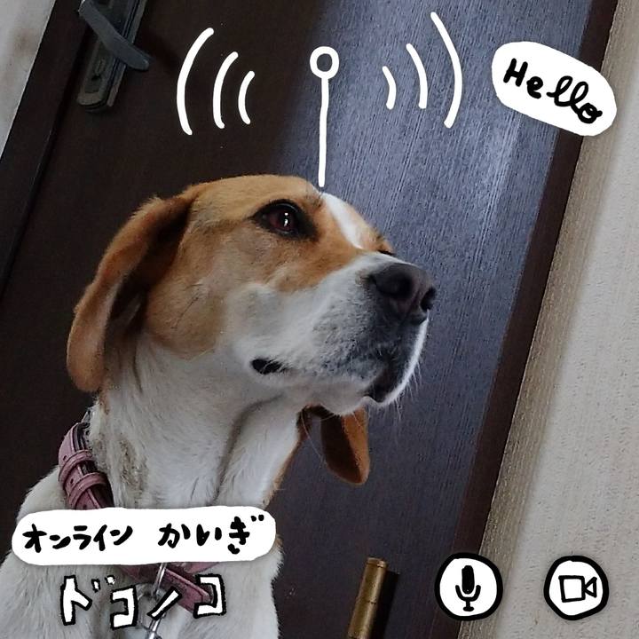 9ab630e6 7764 4cb5 88e0 48106733f893 1592575953892