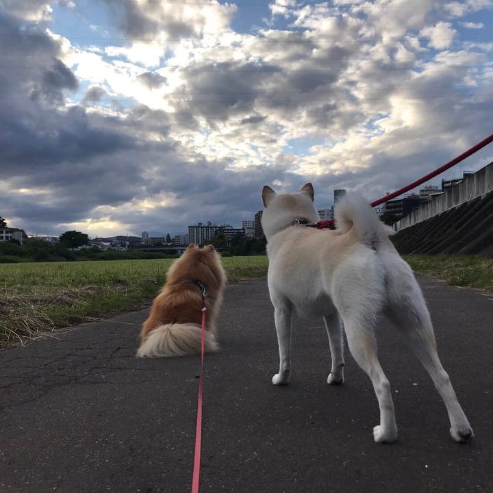 9ab63918 0ee3 4ffd 83c0 6920ab414707 1560767791892