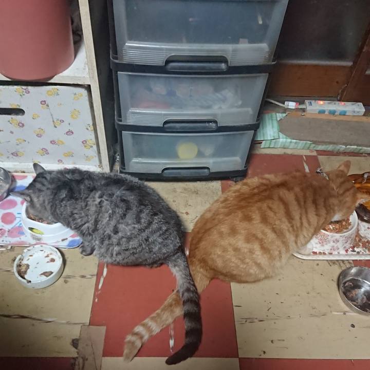 9ab6606c 3bdd 4885 9790 d3181ef19b67 1572292218085