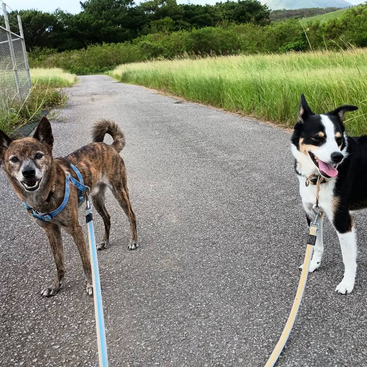 9ab6887b c28c 432b 989d 53f5cb64eb18 1762613611471