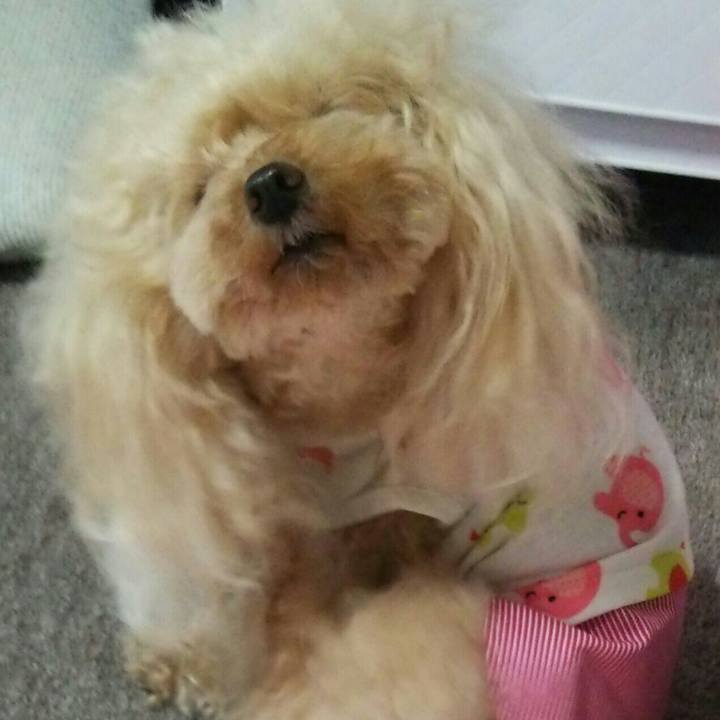 9ab694e5 427e 4f3a 9c1f 7812a3c97939 1559303308178