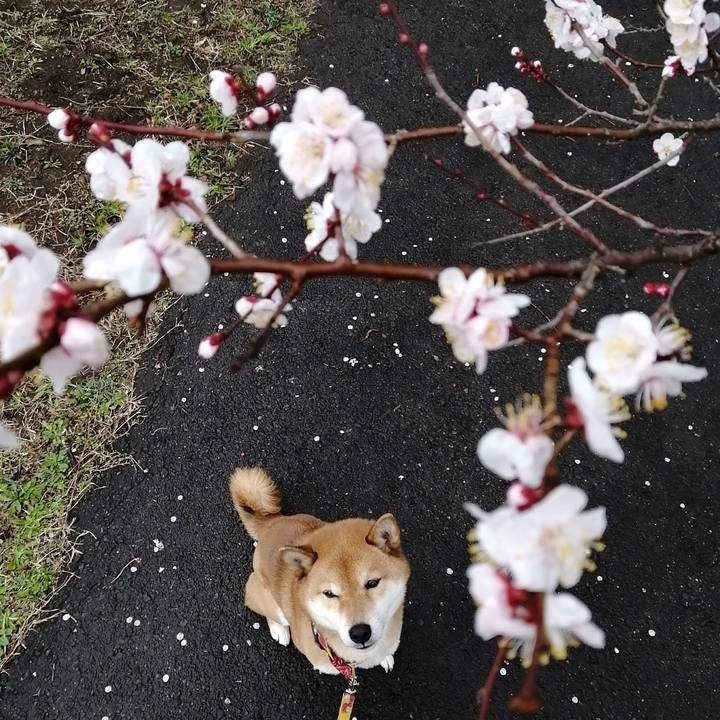 9ab696c2 4d02 4cc5 945f de22513edd3a 1582678178413